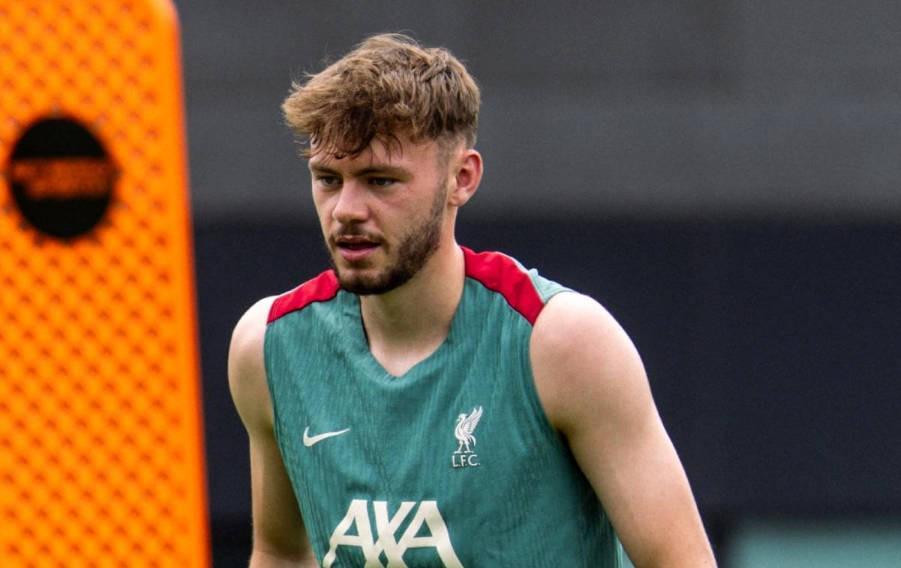 爱游戏体育-邮报：即使北爱尔兰进世界杯正赛，布拉德利也几乎确定将缺席